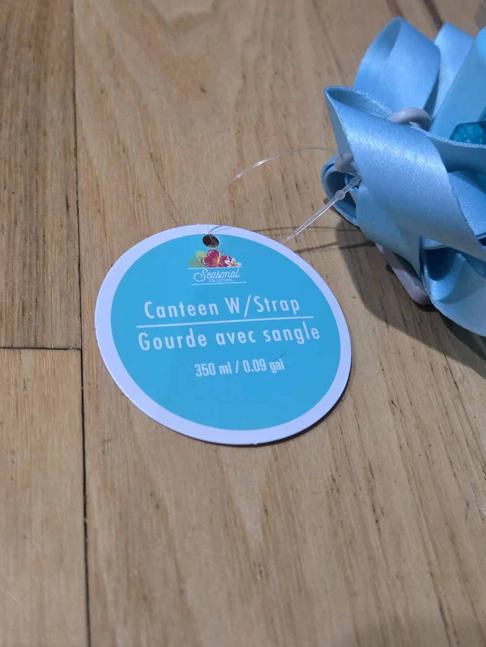 Dollar Tree Popsicle Water Cup Canteen Turquoise